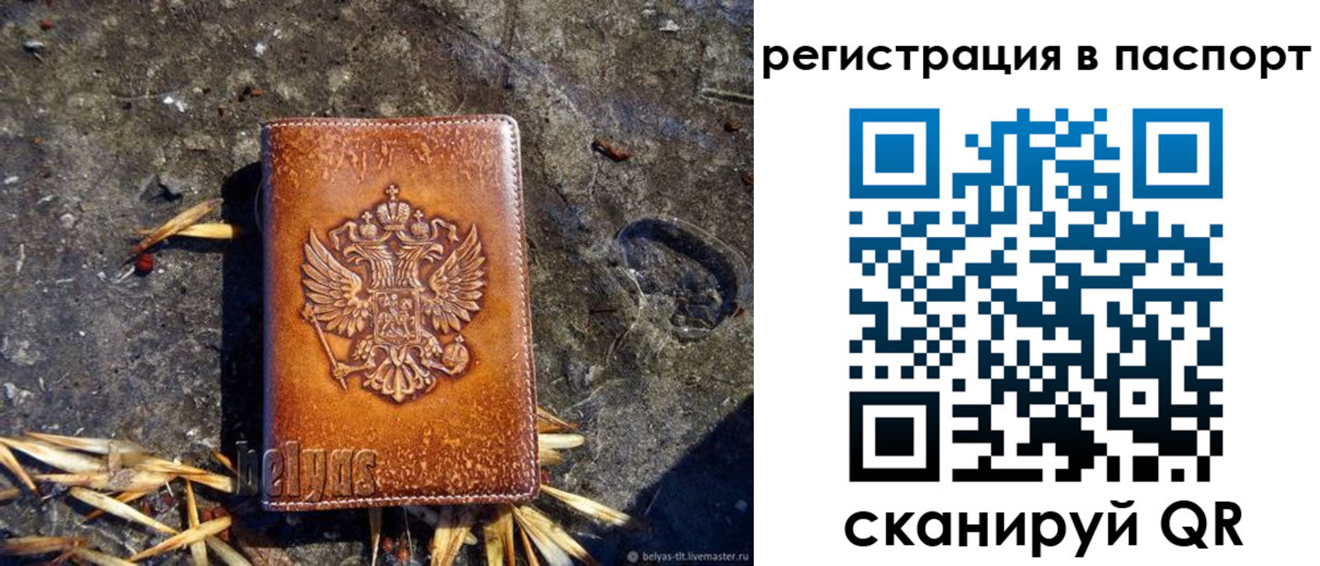 временная регистрация гарантия в Мончегорске